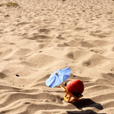 FloZora Paradise Peach Fragrance Oil - Craftovator